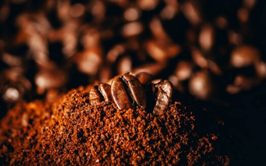 Princess Michelle Company Limited Coffee Agribusiness Tanzania Coffee Export Business Opportunities For International Buyers - Tanzania Coffee Export Business: Opportunities for International Buyers